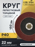 Круг лепестковый торцевой ТУНДРА, 150×22 мм, Р40 - Фото 1