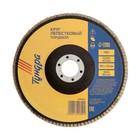 Круг лепестковый торцевой ТУНДРА, 150×22 мм, Р60 - Фото 2