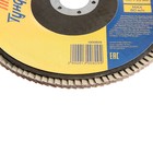 Круг лепестковый торцевой ТУНДРА, 150×22 мм, Р60 - Фото 3