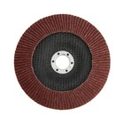 Круг лепестковый торцевой ТУНДРА, 150×22 мм, Р60 - Фото 4