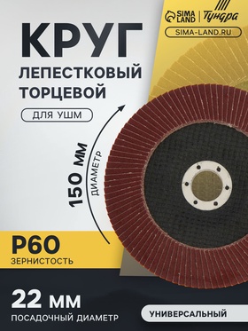 Круг лепестковый торцевой ТУНДРА, 150 х 22 мм, Р60
