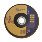 Круг лепестковый торцевой ТУНДРА, 150×22 мм, Р80 - Фото 2