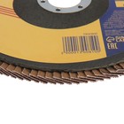 Круг лепестковый торцевой ТУНДРА, 150×22 мм, Р80 - Фото 3