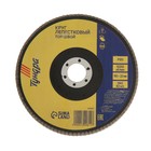 Круг лепестковый торцевой ТУНДРА, 150×22 мм, Р100 - Фото 2