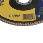 Круг лепестковый торцевой ТУНДРА, 150×22 мм, Р100 - Фото 3