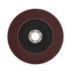 Круг лепестковый торцевой ТУНДРА, 150 х 22 мм, Р100 - Фото 3