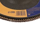 Круг лепестковый торцевой ТУНДРА, 180×22 мм, Р40 - Фото 3