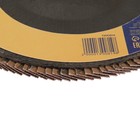 Круг лепестковый торцевой ТУНДРА, 180×22 мм, Р60 - Фото 3