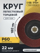 Круг лепестковый торцевой ТУНДРА, 180×22 мм, Р60 - Фото 1