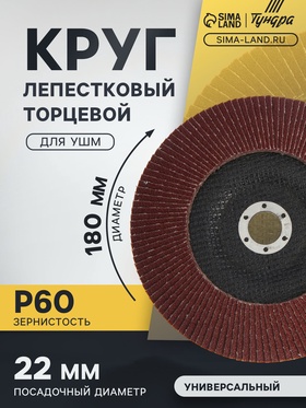 Круг лепестковый торцевой ТУНДРА, 180 х 22 мм, Р60