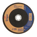 Круг лепестковый торцевой ТУНДРА, 180×22 мм, Р80 - Фото 2