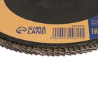 Круг лепестковый торцевой ТУНДРА, 180×22 мм, Р80 - Фото 3