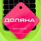 Овощерезка - винегретница Доляна «Кубик», 19 см, с ручками, МИКС - Фото 5