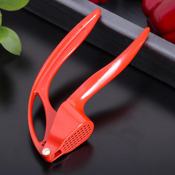 Пресс для чеснока Доляна «Краски», 16 см, цвет МИКС - Фото 1