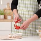 Пресс для чеснока Доляна «Краски», 16 см, цвет МИКС - Фото 3