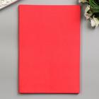 Фоамиран "Томатный" 1 мм (набор 10 листов) формат А4 - Фото 2