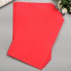 Фоамиран "Томатный" 1 мм (набор 10 листов) формат А4 - Фото 3