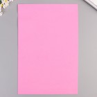 Фоамиран "Бледно-розовый" 1 мм (набор 10 листов) МИКС формат А4 - Фото 3