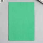 Фоамиран "Лес" 1 мм (набор 10 листов) формат А4 - Фото 2