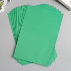 Фоамиран "Лес" 1 мм (набор 10 листов) формат А4 - Фото 3