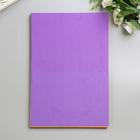 Фоамиран "Ассорти" 1 мм (набор 10 листов) формат А4 - Фото 2