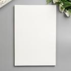 Фоамиран "Белоснежный" 1 мм (набор 10 листов) формат А4 - Фото 2