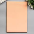 Фоамиран "Лосось" 1 мм (набор 10 листов) формат А4 - Фото 2