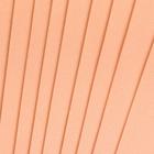 Фоамиран "Лосось" 1 мм (набор 10 листов) формат А4 - Фото 4