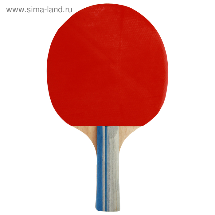 Ракетка для настольного тенниса BLACKWOOD, в чехле - Фото 1