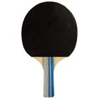 Ракетка для настольного тенниса BLACKWOOD, в чехле - Фото 3
