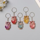 Брелок для ключей на кольце «Филин», пластик под металл, 2.5×3.8 см, МИКС - Фото 1