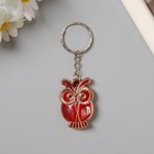 Брелок для ключей на кольце «Филин», пластик под металл, 2.5×3.8 см, МИКС - Фото 2