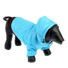 Куртка супертеплая на синтепоне, размер М (ДС 31 см, ОГ 48 см), голубая - Фото 1