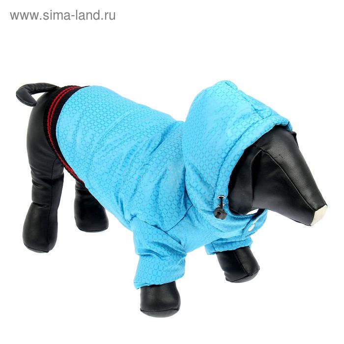 Куртка супертеплая на синтепоне, размер М (ДС 31 см, ОГ 48 см), голубая - Фото 1