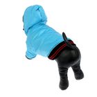 Куртка супертеплая на синтепоне, размер М (ДС 31 см, ОГ 48 см), голубая - Фото 2