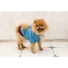 Куртка супертеплая на синтепоне, размер М (ДС 31 см, ОГ 48 см), голубая - Фото 8