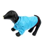 Куртка супертеплая на синтепоне, размер М (ДС 31 см, ОГ 48 см), голубая - Фото 5