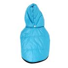 Куртка супертеплая на синтепоне, размер М (ДС 31 см, ОГ 48 см), голубая - Фото 7