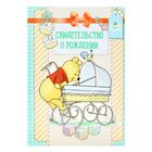 Свидетельство о рождении с файлом "Винни", Медвежонок Винни, 14,2 х 20,5 см - Фото 1