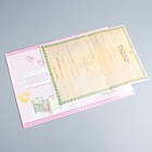 Свидетельство о рождении "Минни", Минни Маус, размер файла 27,5 х 19,5 Disney (старый формат свидетельства) - Фото 5