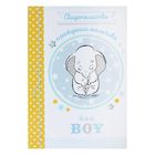 Свидетельство о рождении с файлом "Слоненок Дамбо", Дамбо, 14,2 х 20,5 см - Фото 1