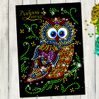 Аппликация пайетками с клеевым слоем "Сова", 30×45 см - Фото 1