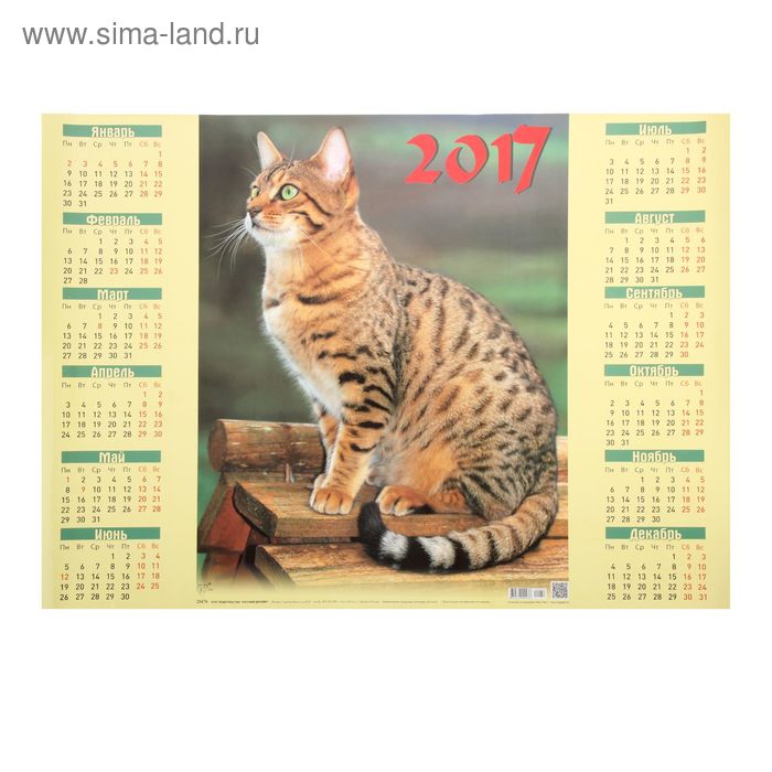 Календарь 2017 Лист А2 "Пятнистый Кот" - Фото 1