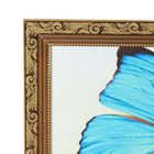 Картина "Бабочки и Тюльпаны" 47*127 см рамка МИКС - Фото 2