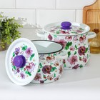 Набор эмалированных кастрюль «Анютины глазки», 2 шт.: 4 л, 5.5 л, белый - Фото 2