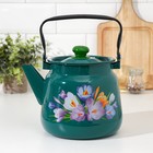 Чайник эмалированный, 3,5 л, с декором МИКС, цвет бирюзовый - Фото 1