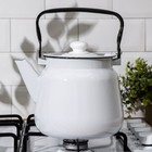 Чайник, 3,5 л, без деколи, эмалированная крышка, индукция, цвет белый - Фото 5