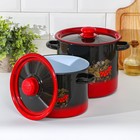 Набор эмалированных кастрюль «Рябинка», 2 шт.: 3.5 л, 5.5 л, чёрный, красный - Фото 2