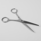 Ножницы парикмахерские, лезвие — 6,7 см, цвет серебряный - Фото 2