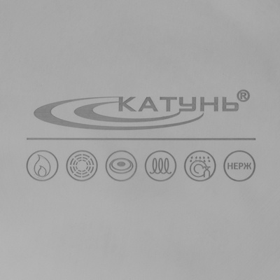 Кастрюля Катунь «Общепит», 15 л, d=30 см, с крышкой, капсульное дно, индукция, нержавеющая сталь, хромированный